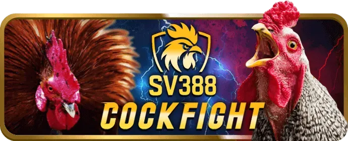Hình ảnh đa dạng sản phẩm cá cược thể thao và casino của 333win68 win